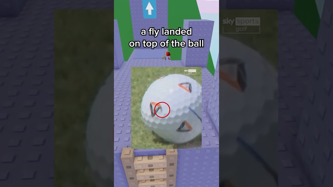 He Won $2 Million Because of a Fly 😭🙏 #roblox #robloxrant #rblx #relatable #rorants