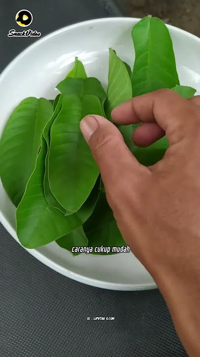 menghilangkan kerutan wajah dengan cara alami #khasiat #tips #wajah #herbal #kesehatan