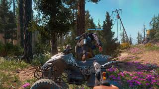 Bright eyed and bushy tailed