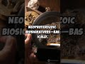 Preservation of Biosignatures in Neoproterozoic Phosphorites Metamorphosed Above 450°C