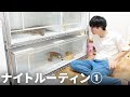 蛇を30匹飼育している男のナイトルーティンを紹介します【お掃除編】