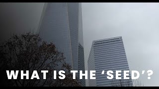 The Seed | The Survivor Tree from 9/11