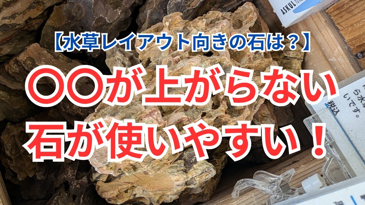 水石 自然な岩の形状 水石の種類・分類について | すいすい水石