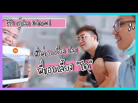 รีวิวตู้ปลา Xiaomi ปลาไม่ตาย คนเลี้ยงตายแทน (คลิปคลายเครียด)