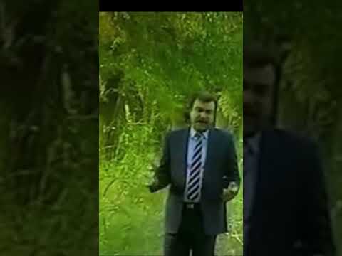 ياس احبك حتى من تزعل