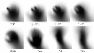 Hand Occlusion on a Multi-Touch Tabletop