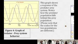 PREDATOR/PREY SYSTEM | ATT Group 6