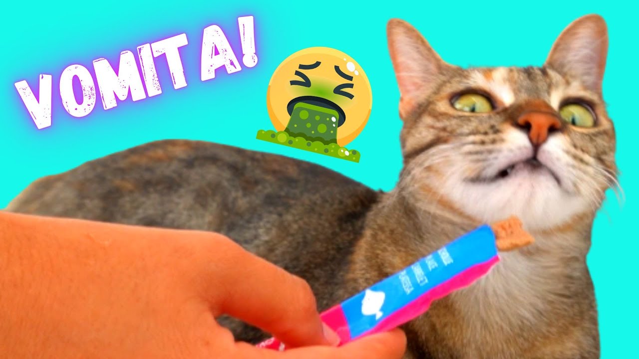 I MIEI GATTI ASSAGGIANO SNACK VOMITEVOLI!