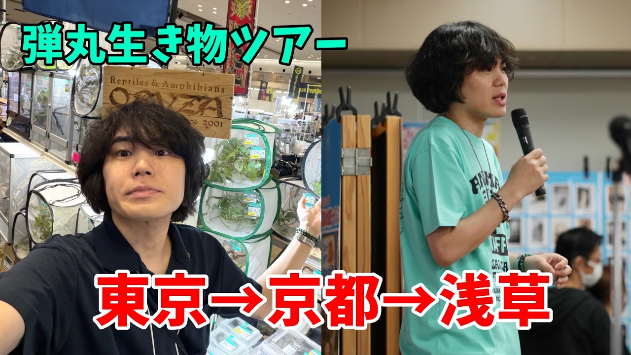 東京→京都→浅草の弾丸生き物イベントツアーがハードすぎた…！
