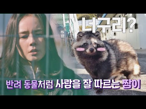 [선공개] 센터를 지키는 터줏대감!✨ 야생 동물과는 많이 멀어진 짬이의 모습💦 | 〈손 없는 날〉 2/21(화) 밤 10시 30분 방송!