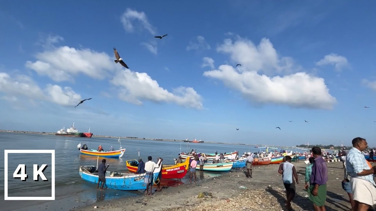Walking Tour in Vaadi Fishing Harbour - Kollam City | Nomad Ambience