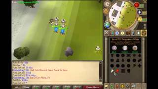 Flawlscape Risking Torva Platebody