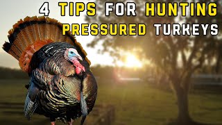 4 Tips For Hunting Pressured Turkeys That Actually Work
