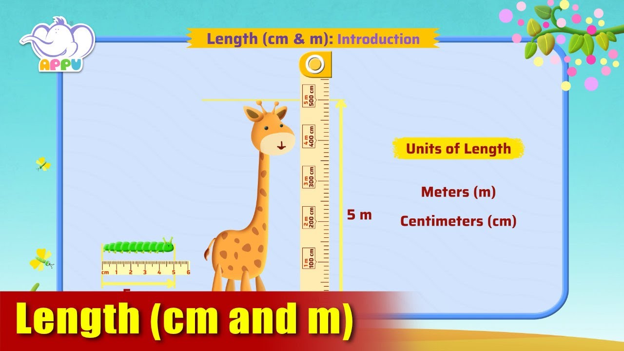 G2 - Module 4 - Introduction - Length (cm and m) | Appu Series | Grade ...