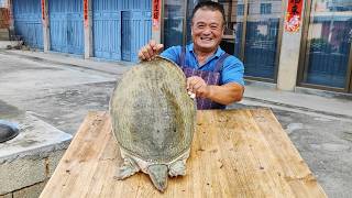 叔叔送来1只30多斤甲鱼王，做麻辣甲鱼满满一锅，10人围坐一桌吃过瘾