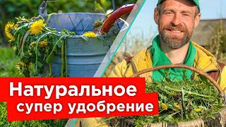 ЛУЧШЕ НАВОЗА И БЕСПЛАТНО! Как сделать ценное удобрение из сорняков своими руками?