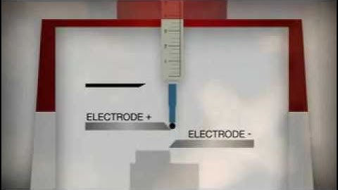 Sharps Terminator 2 min version xvid