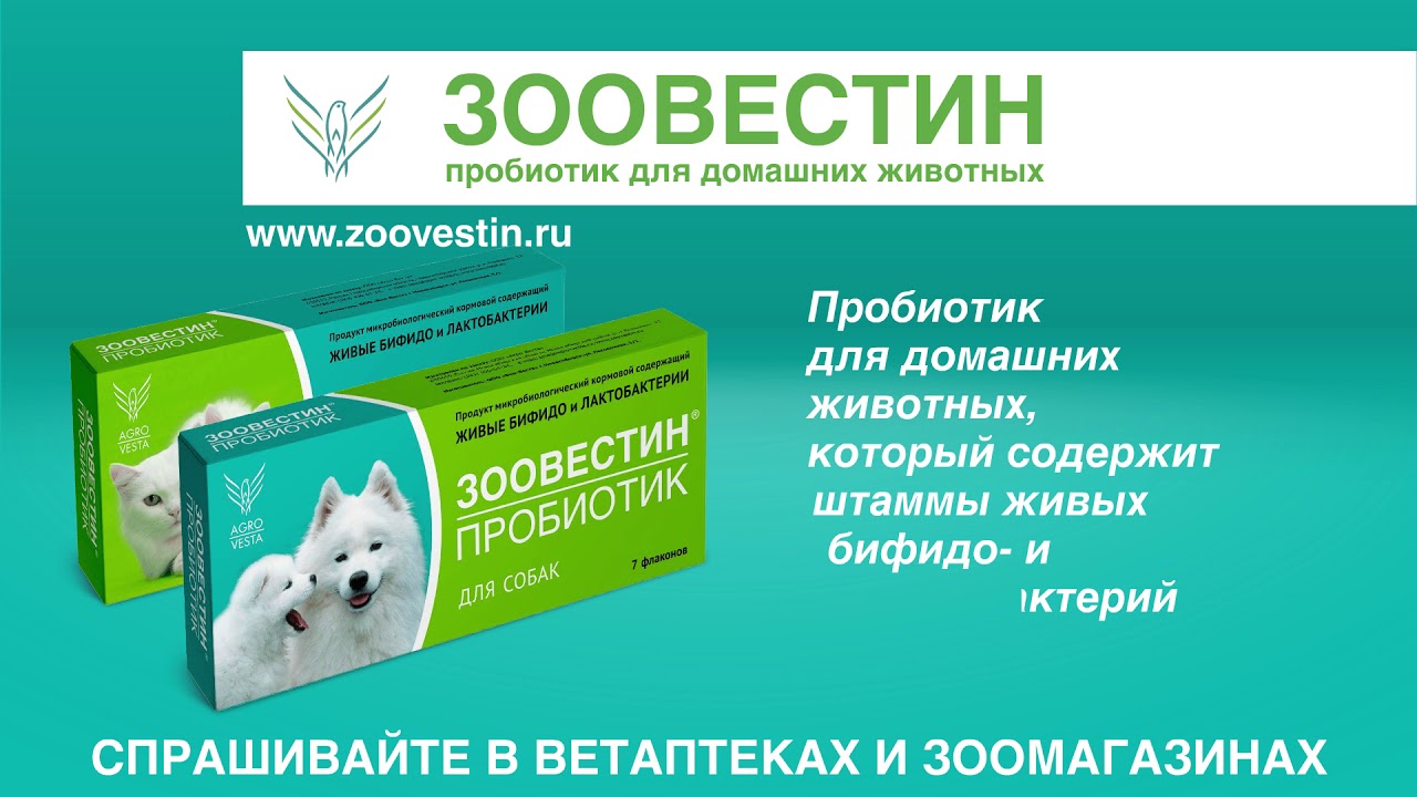 Ветеринарные Аптеки В Пушкине