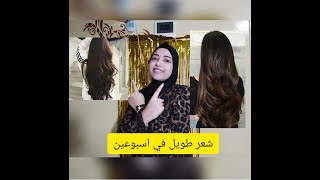 روتين العنايه بالشعر الي غير شعري 100درجه في اسبوعين