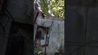 a casa dessa família está caindo vamos ajudar 8798167 7282 Daniel