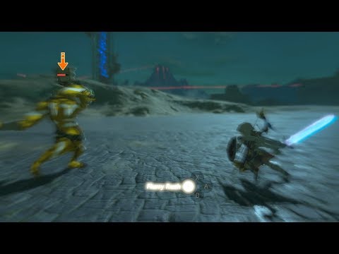 BOTW Clippet - Multi-Advanced Combat Tech On Bokoblin