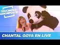 Chantal goya chante pandi panda avec les chroniqueurs