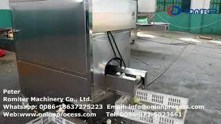 Automatic Small Size Onion Root Cutting and Onion Peeling Machine for India Customer