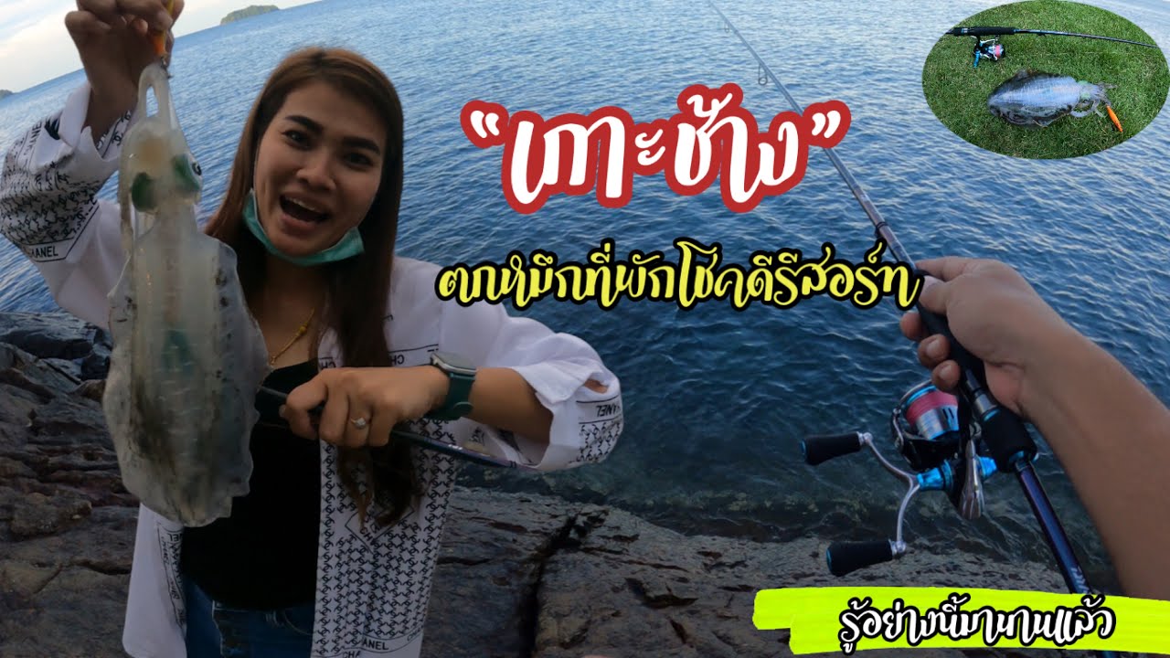 ตกหมึกหน้าที่พักโชคดีรีสอร์ท 
