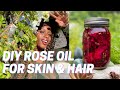 DIY Rose Oil for Hair &amp; Skin