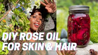 DIY Rose Oil for Hair & Skin