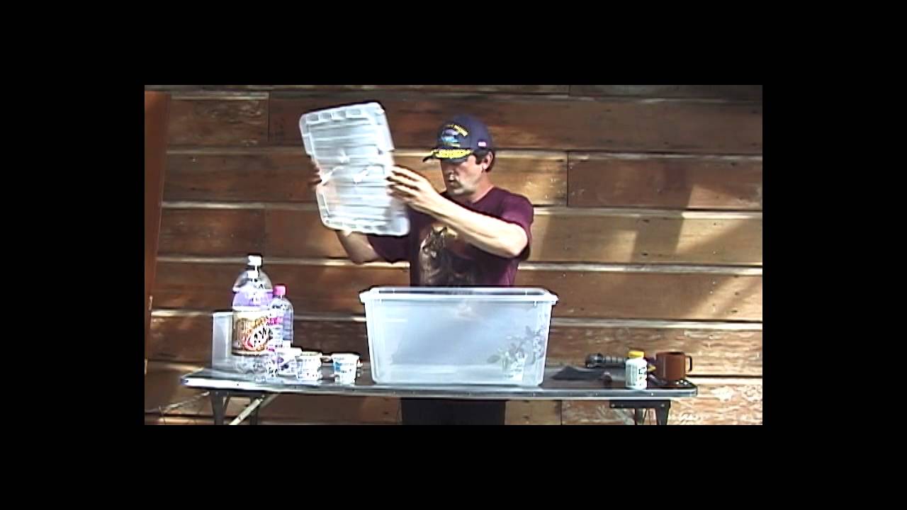 Rose Propagation - Dave Bang - YouTube