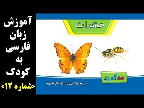 تصویری: 3 روش برای تهیه دسته گل آب نبات