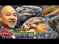 【大公開】ナゴレプ2024に参加しました【ナゴヤレプタイルズワールド】