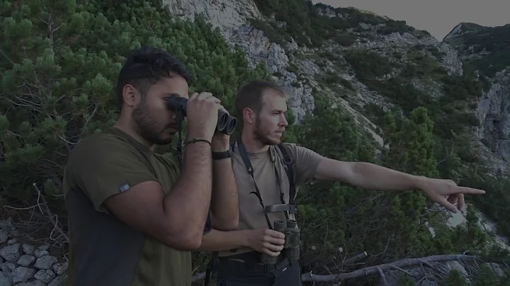 Hunting season highlights - 2019