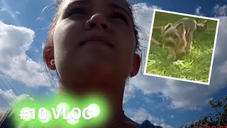 #10 VLOG// ПРИЕХАЛИ ГОСТИ// КУПАЕМСЯ//ГУЛЯЕМ #10 VLOG// ПРИЕХАЛИ ГОСТИ// КУПАЕМСЯ//ГУЛЯЕМ
