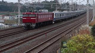 EF81+E531系配給輸送～常磐線北小金(at Kitakogane on the Joban line, Chiba)