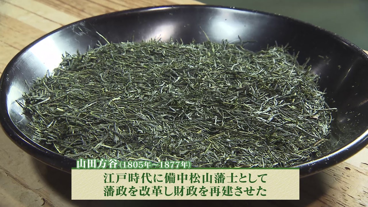 出し ためして 水 緑茶 ガッテン 効能