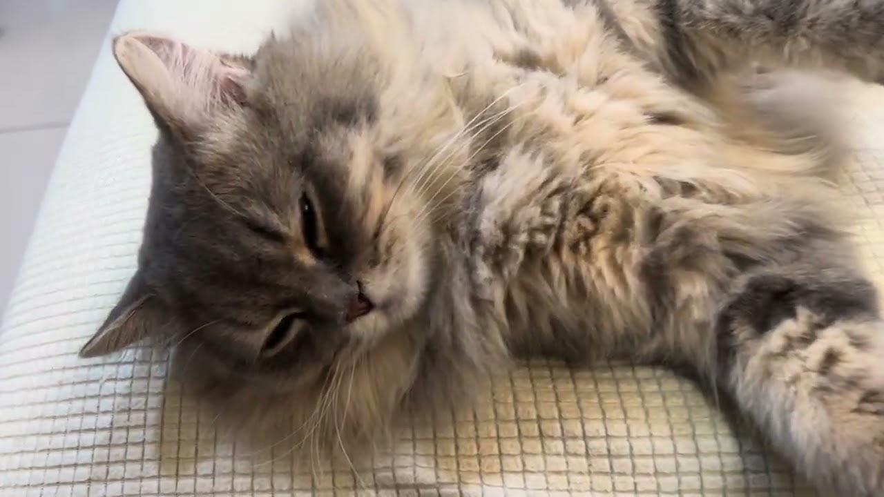 Don't secretly record me