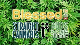 EXPERT JOINTS LIVE! - "Blessed With Cannab-liss Leaves"