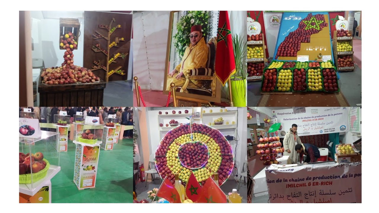 مهرجان ومعرض التفاح بميدلت 2024