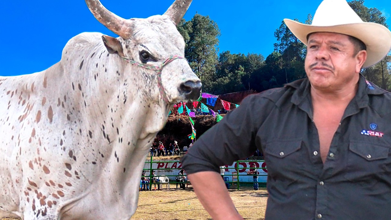 !! 10 TOROS DE LAS ESTRELLAS DEL SUR  PARA 10 JINETES BRADADOS  ¡¡ JARIPEO EN EL COYOLOTE MICHO 2026