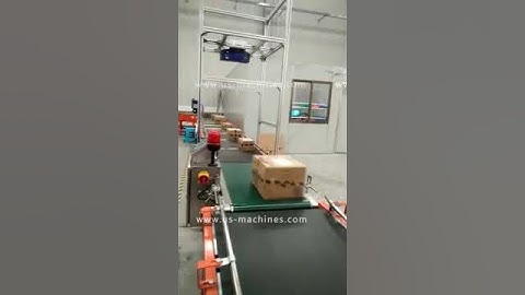 Automatic carton box weight checking machine with box top camera bar code scanning machine