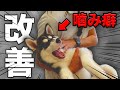 【本気噛み】お迎え5日目、ハスキーの問題行動を治していきます!!