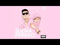 Suena perreo  uzielito mix