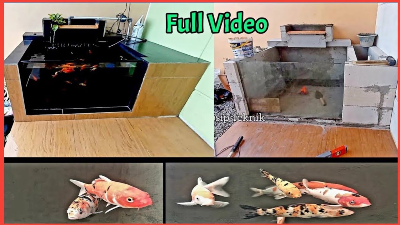 Proses membuat kolam ikan koi minimalis depan rumah lengkap dengan filter air nya