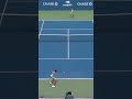 Zheng CRUSHES this backhand! 😮‍💨