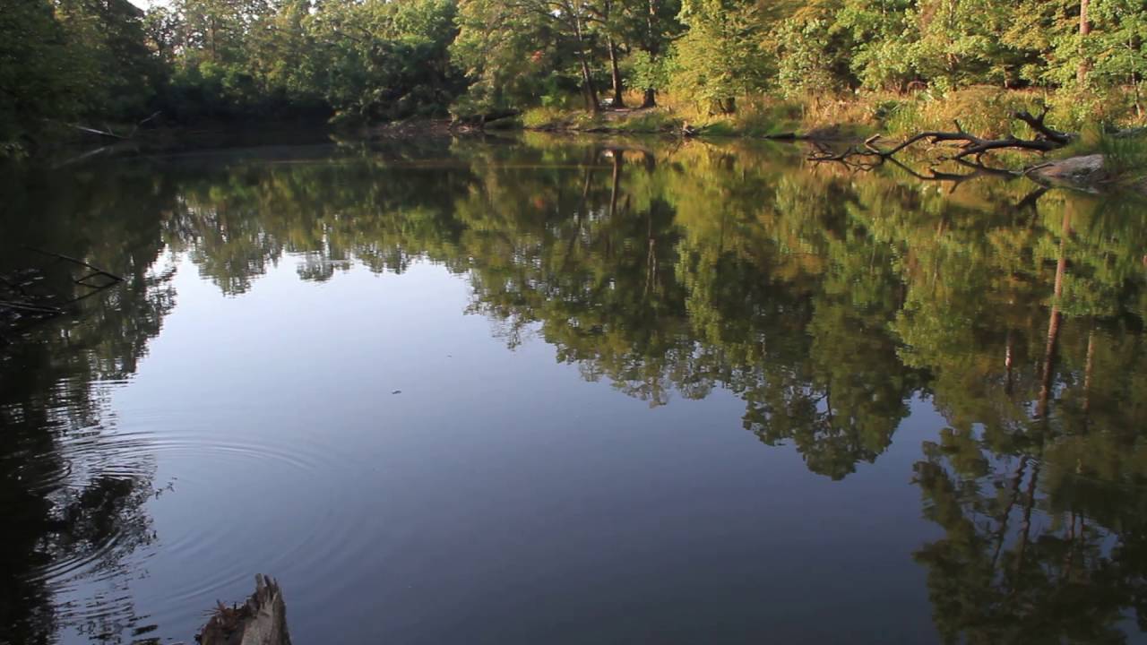 Fall Reflections on Lake Bedias