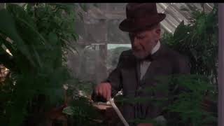 Picnic at Hanging Rock-Ending