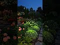Glow in the Dark Garden #gardeninghacks #ancientwisdom