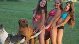 Приколы на дорогах видео 2015 смотреть бесплатно 18+